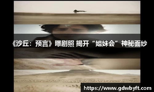 NG28娱乐